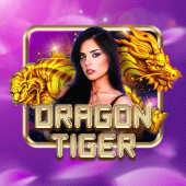 Dragon Tiger super ace king live-casino